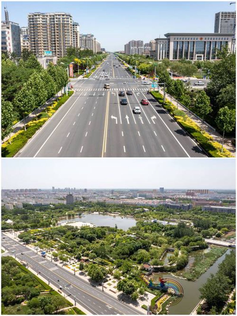 博兴县网站建设：企业数字化转型的新阶梯